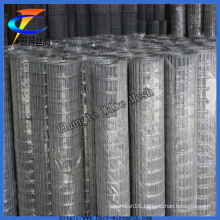 Hot Dipped 2X2 Galvanized Welded Wire Mesh